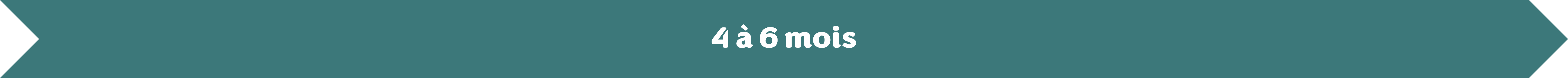 4 à 6 mois