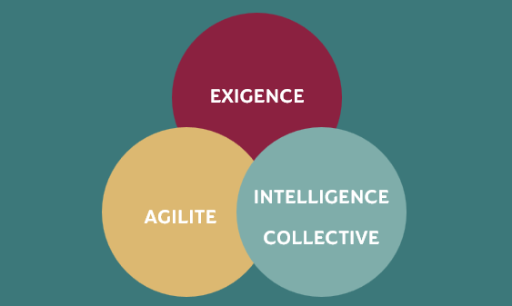 Exigence, Agilité et Intelligence Collective